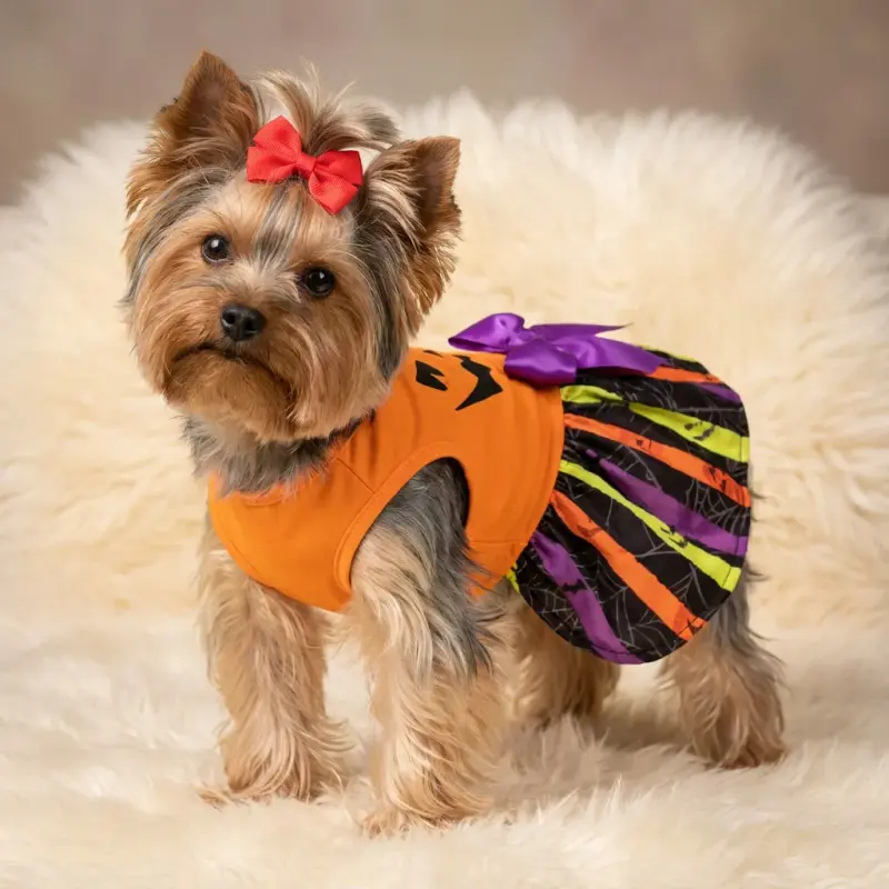 Fitwarm Halloween Pumpkin Dog Dress, Funny Dog Halloween Costumes, Doggy Clothes for Small Dogs Girl, Pet Apparel, Orange,...
