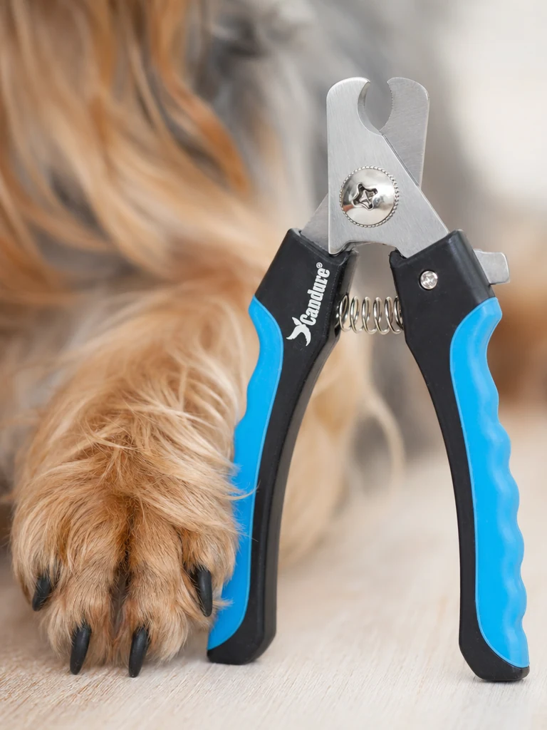 Sammy with the Candure Nail Clippers with Safety Guard & File