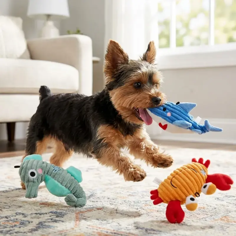 Sammy with the Squeaky Durable Yorkie Chew Toy