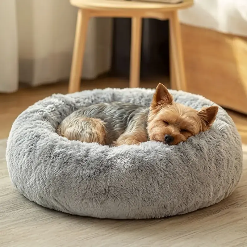 Sammy the Yorkshire Terrier with the JOLLYVOGUE Calming Donut Bed, Washable (20")