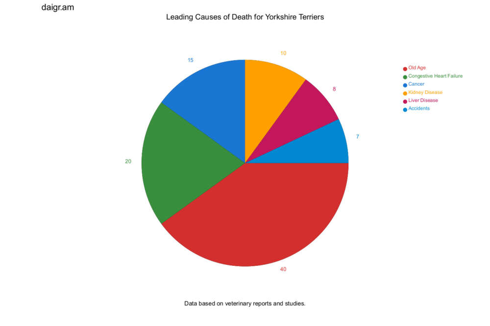 leading-causes-of-death-for-yorkies