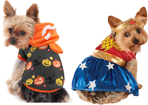 https://www.yorkieclothing.com/wp-content/uploads/2019/10/yorkies-in-halloween-costume.png