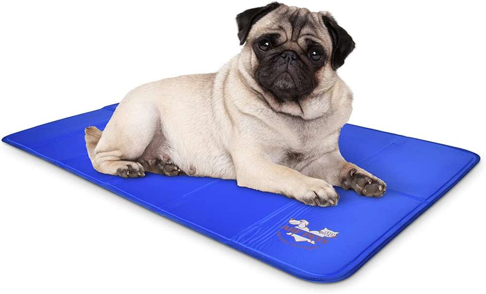 cooling pad for dogs