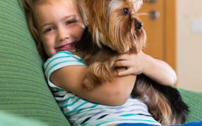 10 Fun Indoor Activities for Your Bored Yorkie